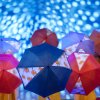 _mg_6698-1