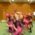 Sonstiges - Lindenkids (2010)